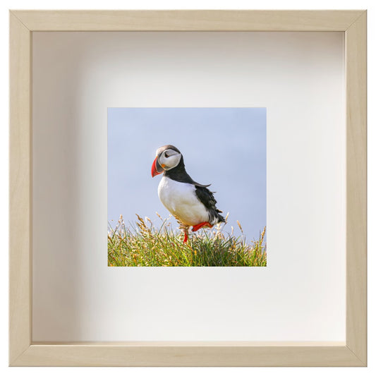 Balance (Iceland, 2016)