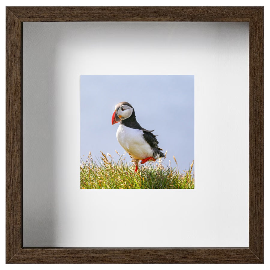 Balance (Iceland, 2016)