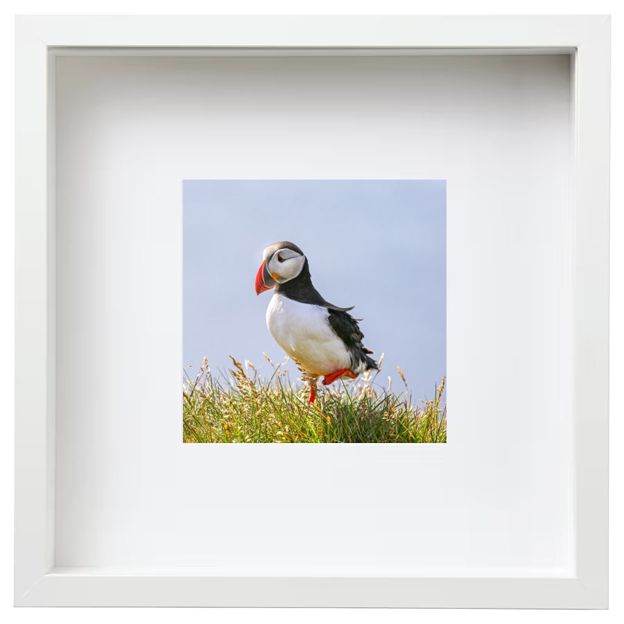 Balance (Iceland, 2016)