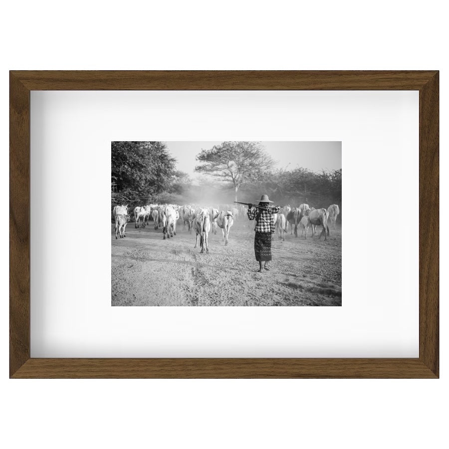 Homebound (Myanmar, 2017)